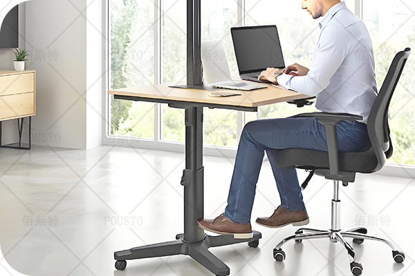 记忆功能,多功能性